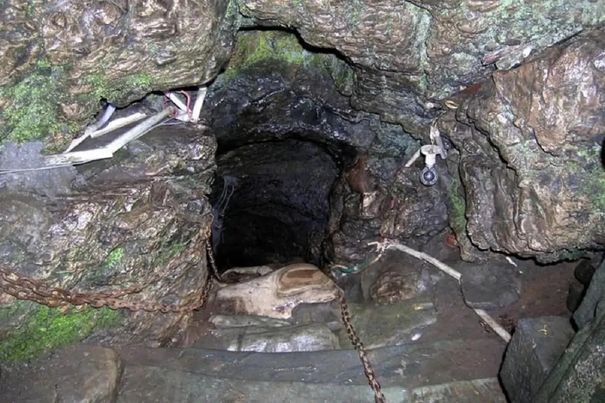 Trip image
